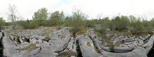 Le lapiaz de Loulle