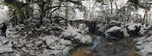 Pont de la pie du Dard