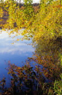 Lac de Bonlieu (Jura)
