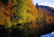 Lac de Bonlieu